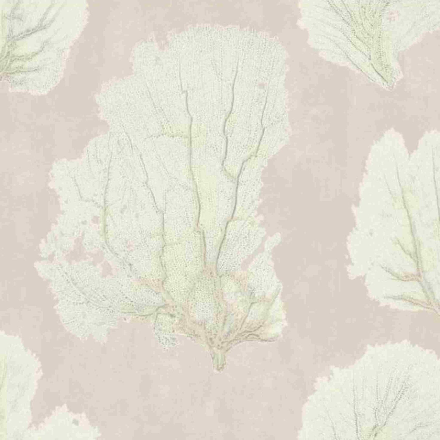 Coral Couture Unpasted Wallpaper